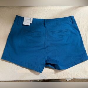 NWT Womens Blue Shorts Size 30
